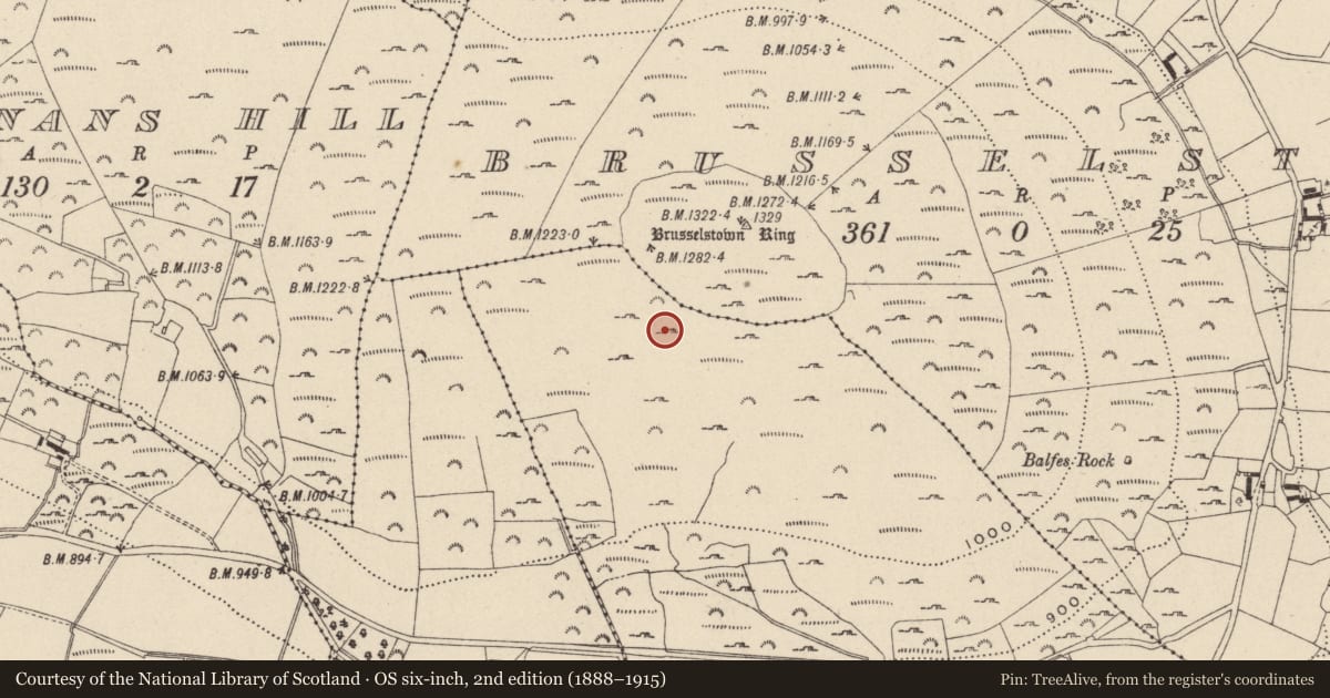 Ordnance Survey six-inch map, 2nd edition (1888–1915) covering the location of Hut site, Castlequarter, County Wicklow, with a pin at the register's coordinates