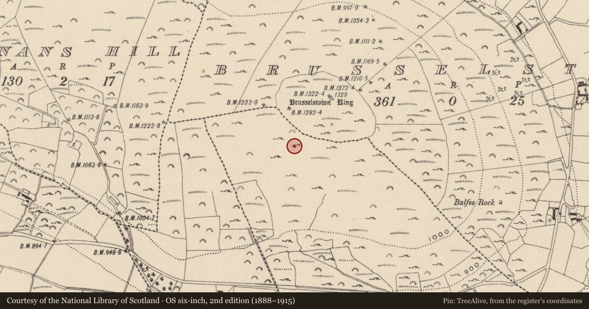 Ordnance Survey six-inch map, 2nd edition (1888–1915) covering the location of Hut site, Castlequarter, County Wicklow, with a pin at the register's coordinates