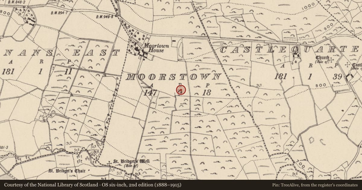Ordnance Survey six-inch map, 2nd edition (1888–1915) covering the location of Enclosure, Moorstown, County Wicklow, with a pin at the register's coordinates