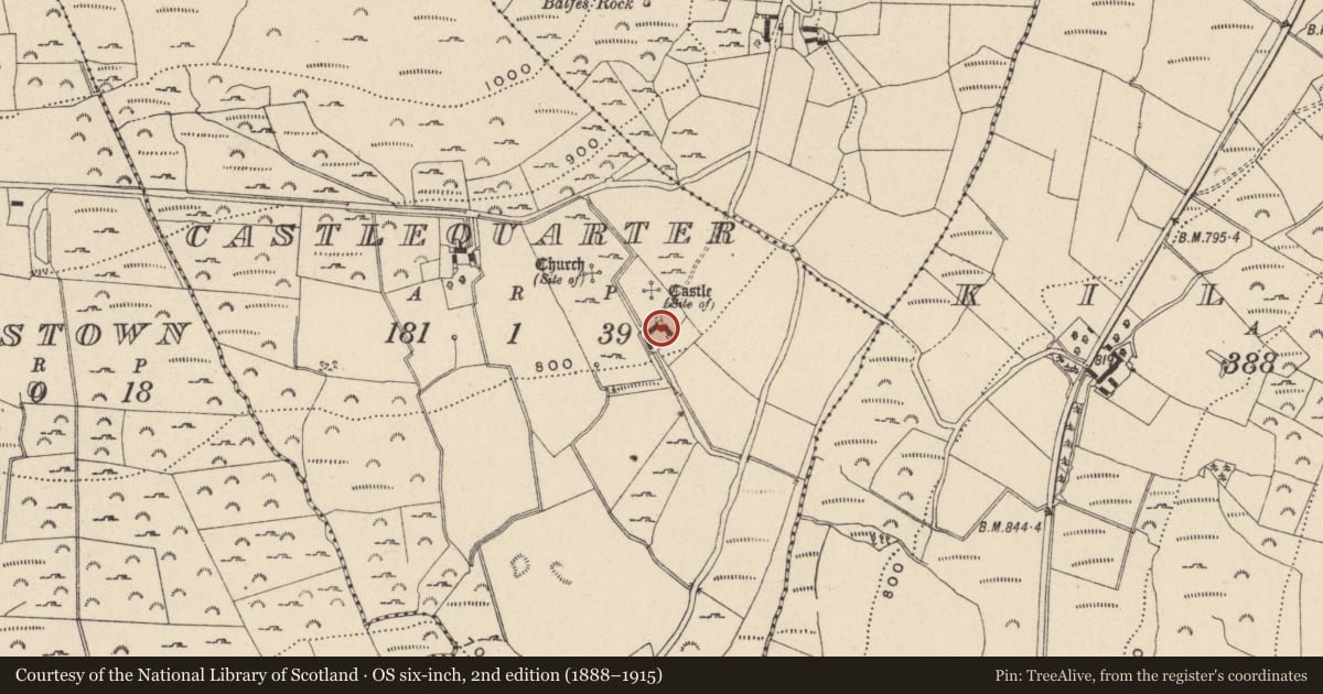Ordnance Survey six-inch map, 2nd edition (1888–1915) covering the location of Architectural fragment, Castlequarter, County Wicklow, with a pin at the register's coordinates