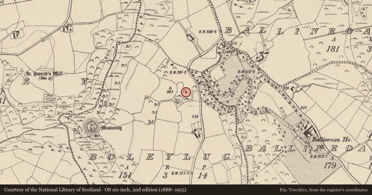 Ordnance Survey six-inch map, 2nd edition (1888–1915) covering the location of Ringfort - rath, Boleylug, County Wicklow, with a pin at the register's coordinates