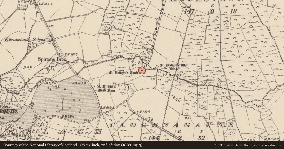 Ordnance Survey six-inch map, 2nd edition (1888–1915) covering the location of Penitential station, Cloghnagaune, County Wicklow, with a pin at the register's coordinates