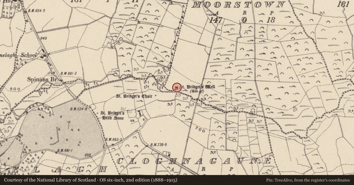 Ordnance Survey six-inch map, 2nd edition (1888–1915) covering the location of Ritual site - holy well, Moorstown, County Wicklow, with a pin at the register's coordinates
