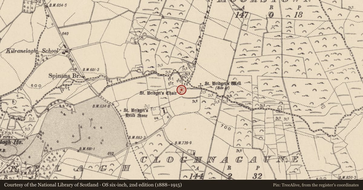 Ordnance Survey six-inch map, 2nd edition (1888–1915) covering the location of Cross-slab, Cloghnagaune, County Wicklow, with a pin at the register's coordinates