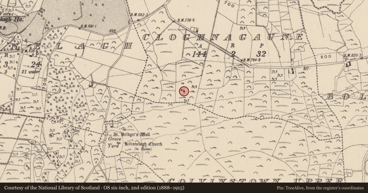 Ordnance Survey six-inch map, 2nd edition (1888–1915) covering the location of Ringfort - rath, Cloghnagaune, County Wicklow, with a pin at the register's coordinates