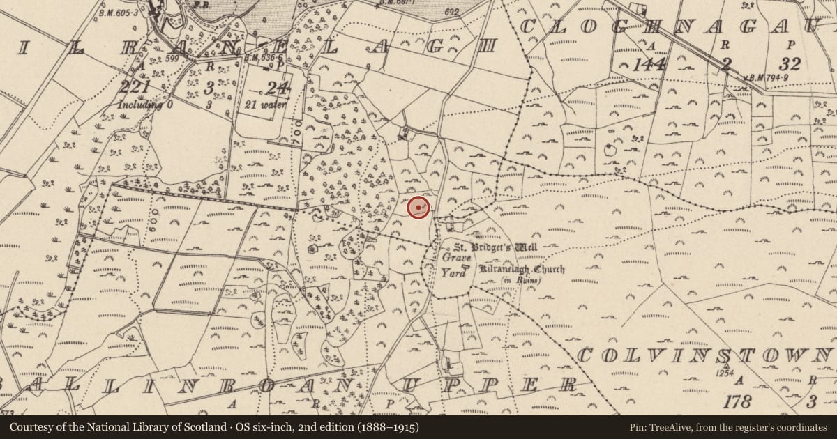 Ordnance Survey six-inch map, 2nd edition (1888–1915) covering the location of Cairn - unclassified, Kilranelagh, County Wicklow, with a pin at the register's coordinates