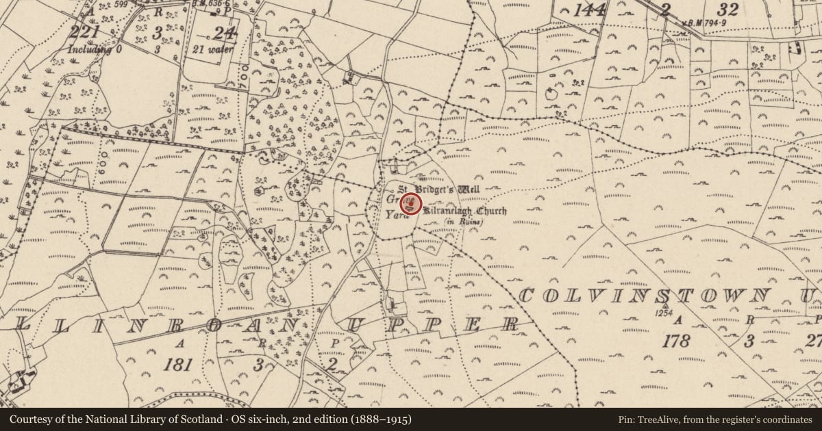 Ordnance Survey six-inch map, 2nd edition (1888–1915) covering the location of Church, Colvinstown Upper, County Wicklow, with a pin at the register's coordinates