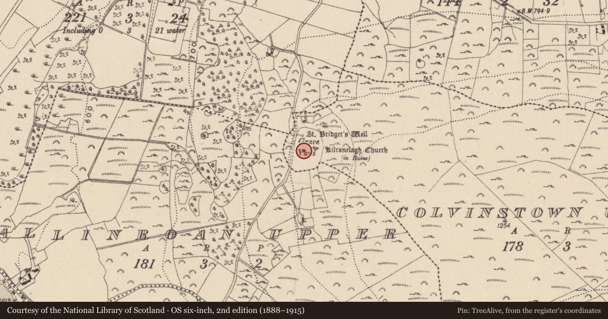 Ordnance Survey six-inch map, 2nd edition (1888–1915) covering the location of Graveyard, Colvinstown Upper, County Wicklow, with a pin at the register's coordinates