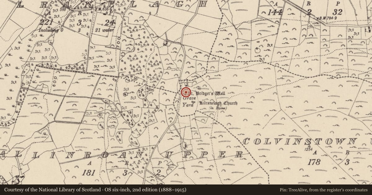 Ordnance Survey six-inch map, 2nd edition (1888–1915) covering the location of Ritual site - holy well, Colvinstown Upper, County Wicklow, with a pin at the register's coordinates