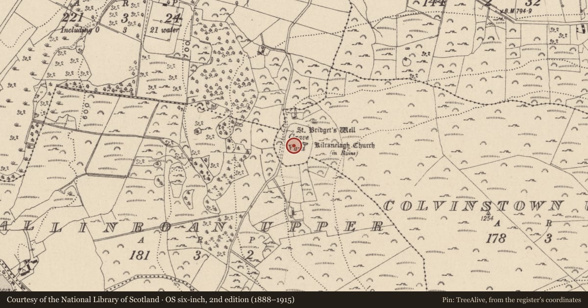 Ordnance Survey six-inch map, 2nd edition (1888–1915) covering the location of Cross, Colvinstown Upper, County Wicklow, with a pin at the register's coordinates