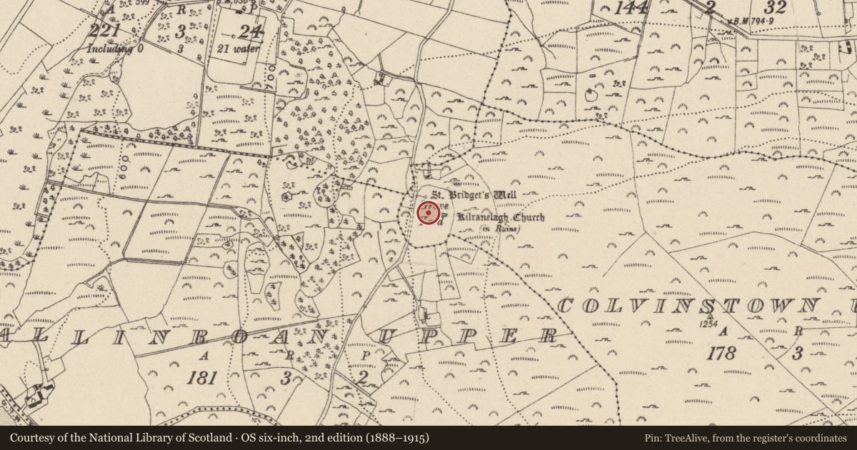 Ordnance Survey six-inch map, 2nd edition (1888–1915) covering the location of Ecclesiastical enclosure, Colvinstown Upper, County Wicklow, with a pin at the register's coordinates