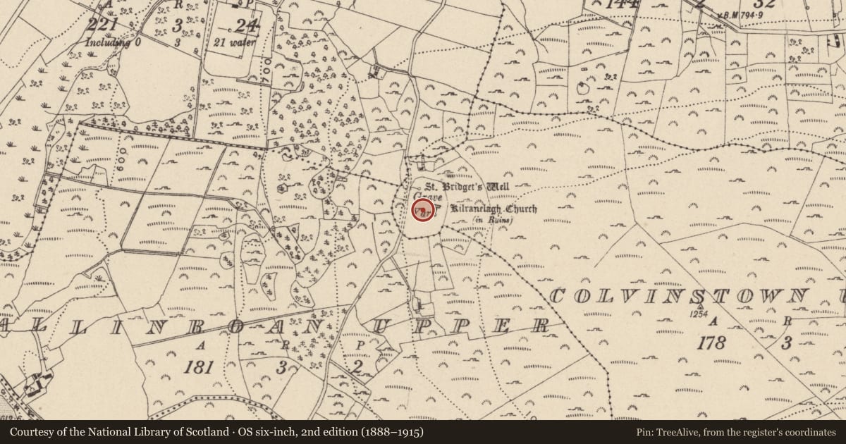 Ordnance Survey six-inch map, 2nd edition (1888–1915) covering the location of Cross, Colvinstown Upper, County Wicklow, with a pin at the register's coordinates