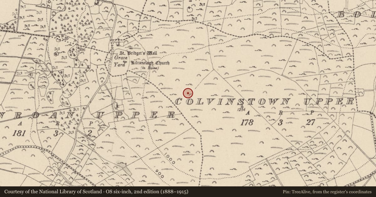 Ordnance Survey six-inch map, 2nd edition (1888–1915) covering the location of Cairn - unclassified, Colvinstown Upper, County Wicklow, with a pin at the register's coordinates