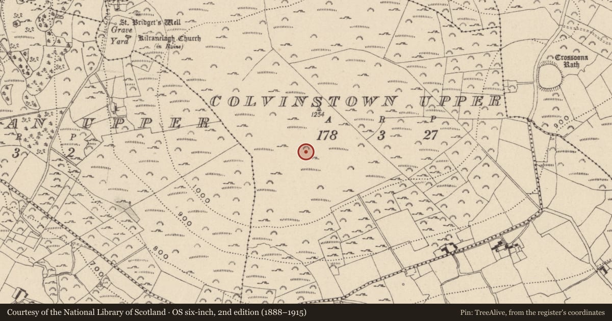 Ordnance Survey six-inch map, 2nd edition (1888–1915) covering the location of Cairn - unclassified, Colvinstown Upper, County Wicklow, with a pin at the register's coordinates