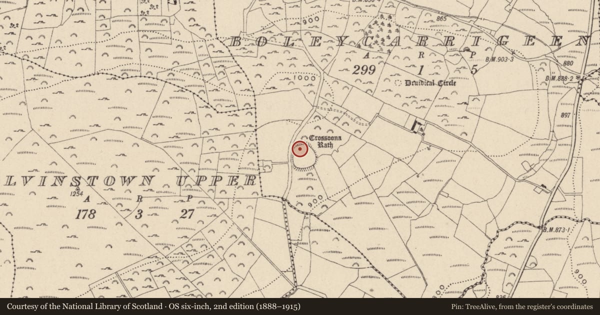 Ordnance Survey six-inch map, 2nd edition (1888–1915) covering the location of Hut site, Boleycarrigeen, County Wicklow, with a pin at the register's coordinates