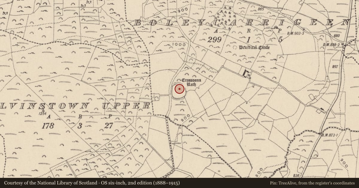 Ordnance Survey six-inch map, 2nd edition (1888–1915) covering the location of Ogham stone, Boleycarrigeen, County Wicklow, with a pin at the register's coordinates