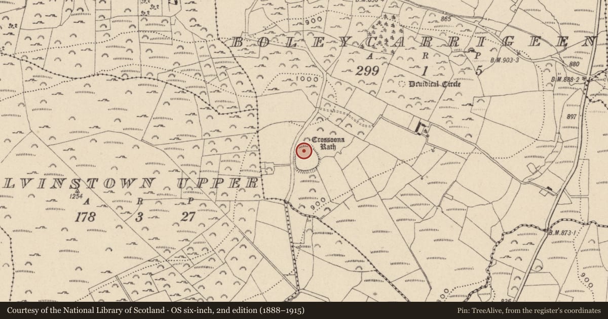 Ordnance Survey six-inch map, 2nd edition (1888–1915) covering the location of Hut site, Boleycarrigeen, County Wicklow, with a pin at the register's coordinates