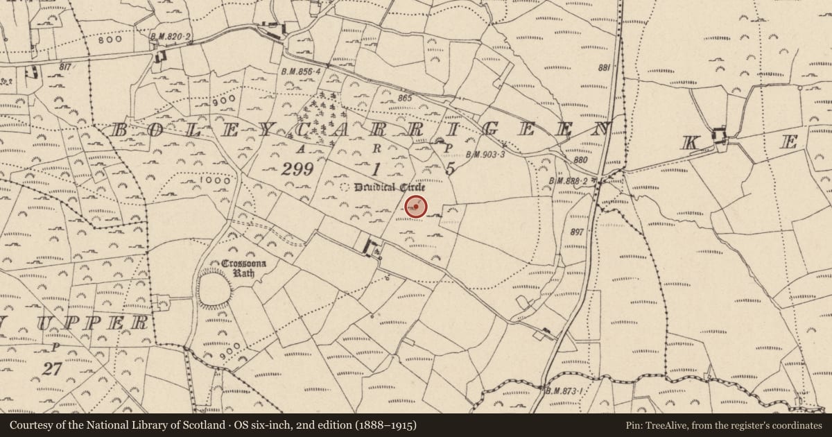 Ordnance Survey six-inch map, 2nd edition (1888–1915) covering the location of Barrow - mound barrow, Boleycarrigeen, County Wicklow, with a pin at the register's coordinates