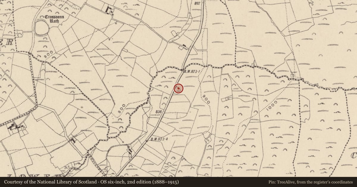Ordnance Survey six-inch map, 2nd edition (1888–1915) covering the location of Ringfort - rath, Kelshabeg, County Wicklow, with a pin at the register's coordinates