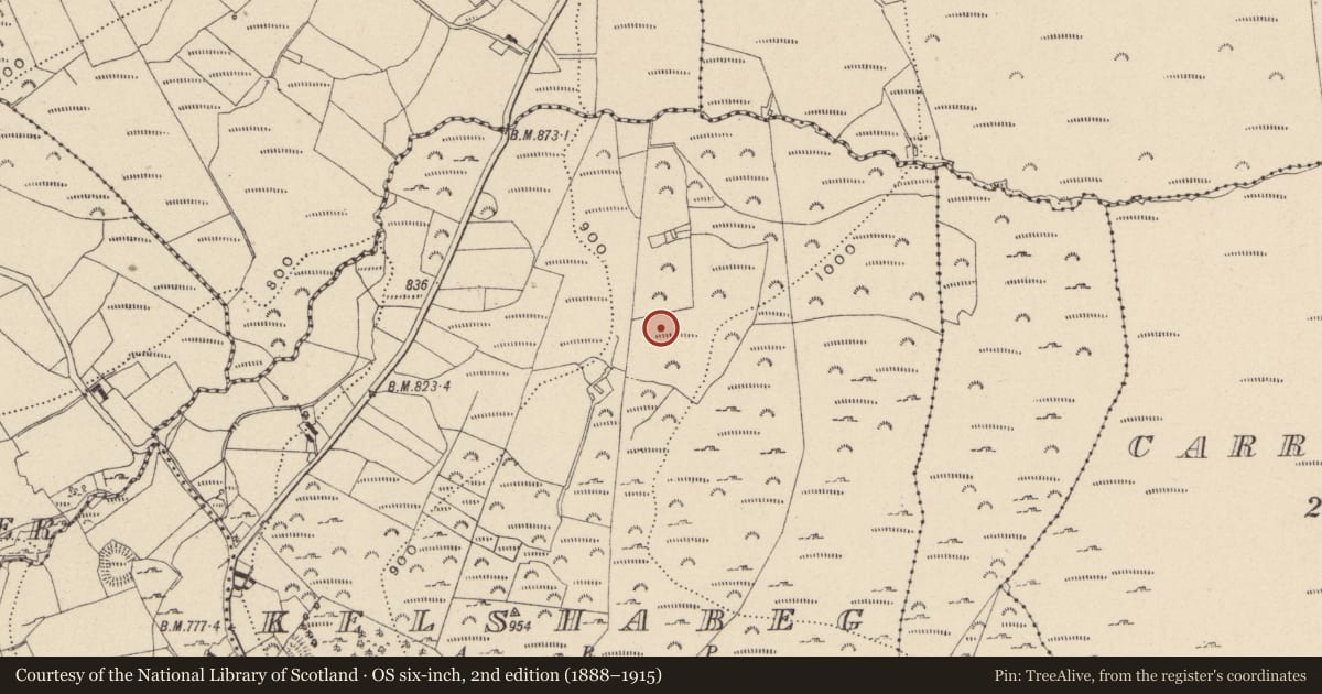 Ordnance Survey six-inch map, 2nd edition (1888–1915) covering the location of Hut site, Kelshabeg, County Wicklow, with a pin at the register's coordinates