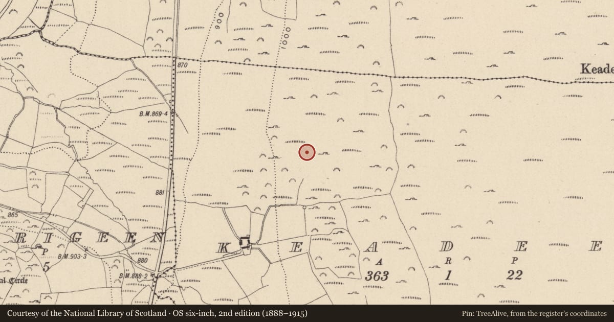 Ordnance Survey six-inch map, 2nd edition (1888–1915) covering the location of Enclosure, Keadeen, County Wicklow, with a pin at the register's coordinates