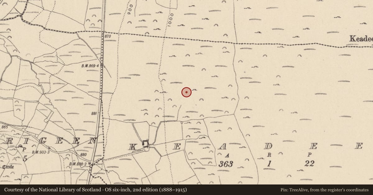 Ordnance Survey six-inch map, 2nd edition (1888–1915) covering the location of Standing stone, Keadeen, County Wicklow, with a pin at the register's coordinates