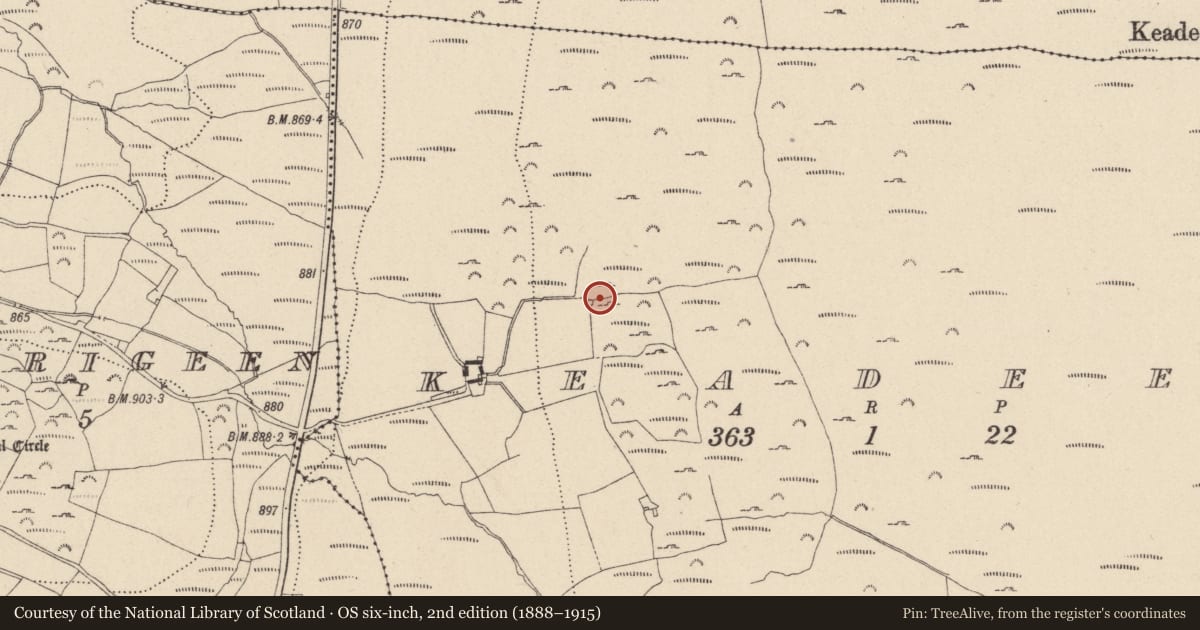 Ordnance Survey six-inch map, 2nd edition (1888–1915) covering the location of Hut site, Keadeen, County Wicklow, with a pin at the register's coordinates