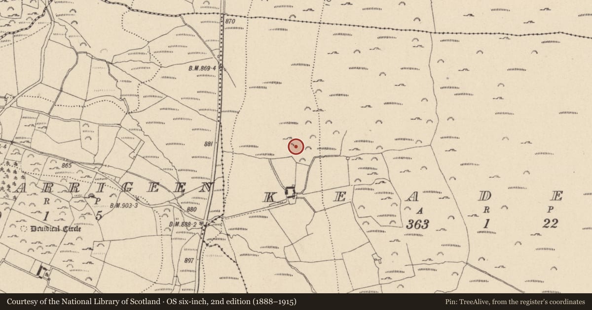 Ordnance Survey six-inch map, 2nd edition (1888–1915) covering the location of Hut site, Keadeen, County Wicklow, with a pin at the register's coordinates
