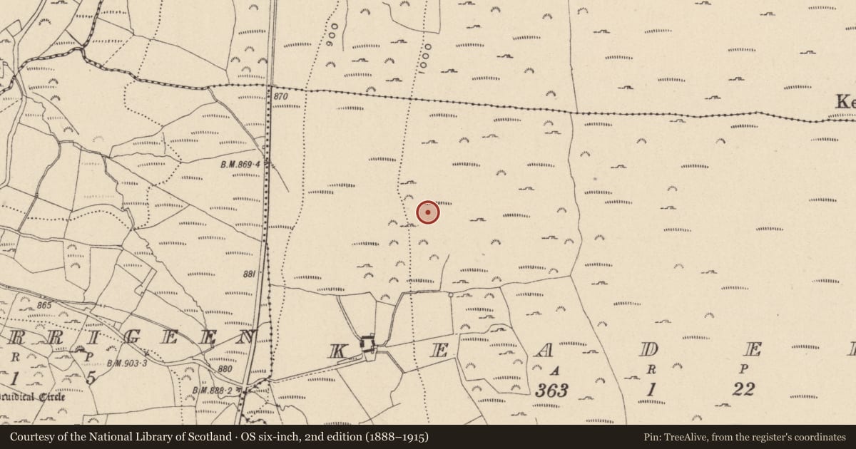 Ordnance Survey six-inch map, 2nd edition (1888–1915) covering the location of Hut site, Keadeen, County Wicklow, with a pin at the register's coordinates