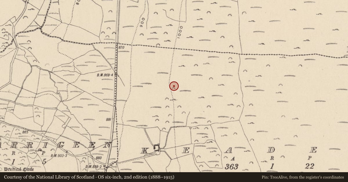 Ordnance Survey six-inch map, 2nd edition (1888–1915) covering the location of Hut site, Keadeen, County Wicklow, with a pin at the register's coordinates