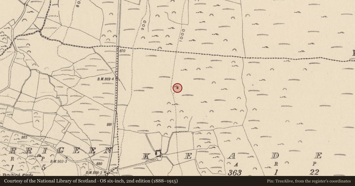 Ordnance Survey six-inch map, 2nd edition (1888–1915) covering the location of Hut site, Keadeen, County Wicklow, with a pin at the register's coordinates