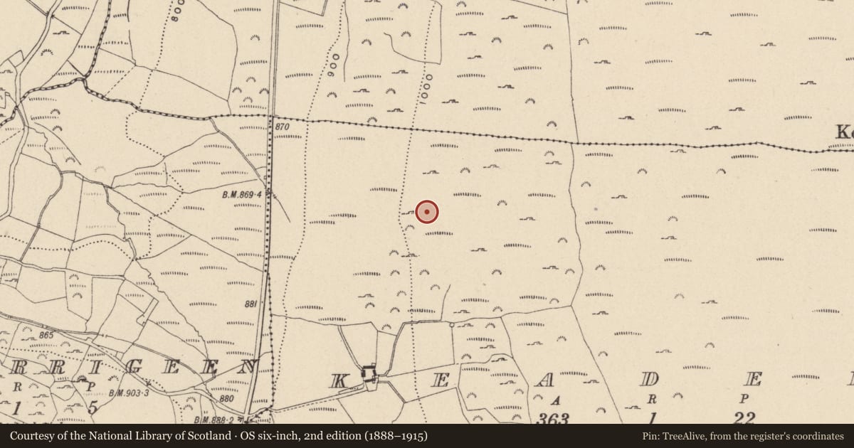 Ordnance Survey six-inch map, 2nd edition (1888–1915) covering the location of Hut site, Keadeen, County Wicklow, with a pin at the register's coordinates