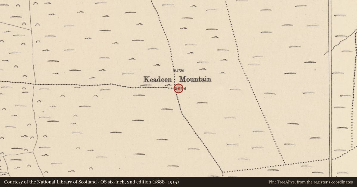 Ordnance Survey six-inch map, 2nd edition (1888–1915) covering the location of Cairn - unclassified, County Wicklow, with a pin at the register's coordinates