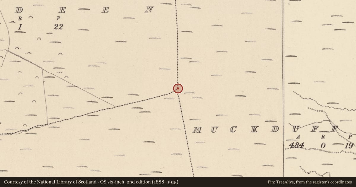 Ordnance Survey six-inch map, 2nd edition (1888–1915) covering the location of Cairn - unclassified, Muckduff Upper, County Wicklow, with a pin at the register's coordinates
