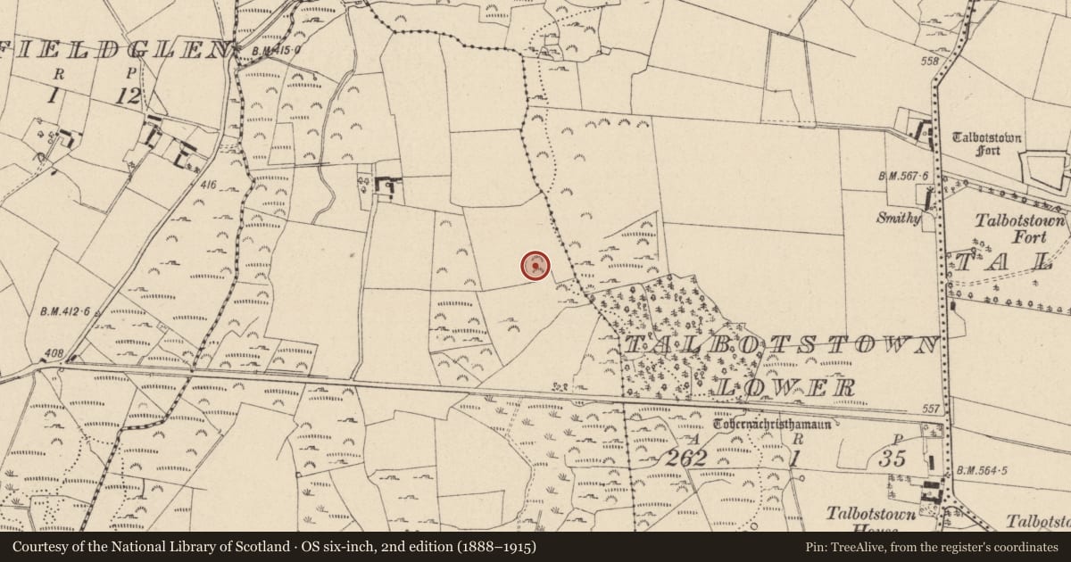 Ordnance Survey six-inch map, 2nd edition (1888–1915) covering the location of Ringfort - cashel, Englishtown, County Wicklow, with a pin at the register's coordinates
