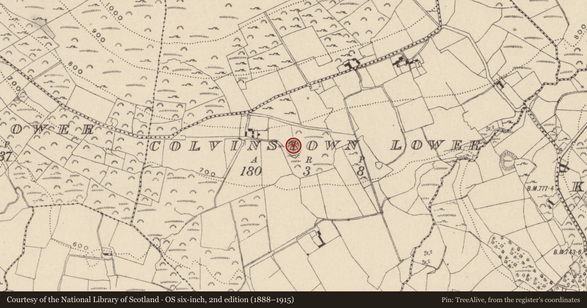Ordnance Survey six-inch map, 2nd edition (1888–1915) covering the location of Ringfort - rath, Colvinstown Lower, County Wicklow, with a pin at the register's coordinates