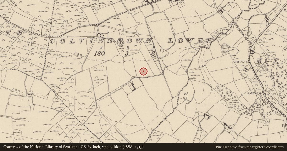 Ordnance Survey six-inch map, 2nd edition (1888–1915) covering the location of Ringfort - rath, Colvinstown Lower, County Wicklow, with a pin at the register's coordinates