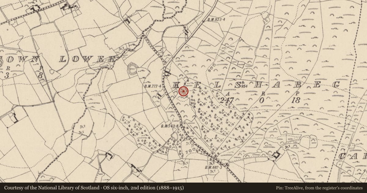 Ordnance Survey six-inch map, 2nd edition (1888–1915) covering the location of Enclosure, Kelshabeg, County Wicklow, with a pin at the register's coordinates
