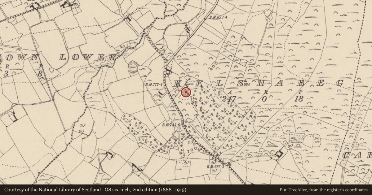 Ordnance Survey six-inch map, 2nd edition (1888–1915) covering the location of Hut site, Kelshabeg, County Wicklow, with a pin at the register's coordinates
