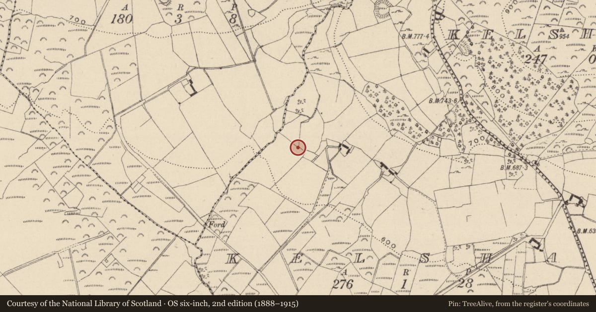 Ordnance Survey six-inch map, 2nd edition (1888–1915) covering the location of Enclosure, Kelsha, County Wicklow, with a pin at the register's coordinates
