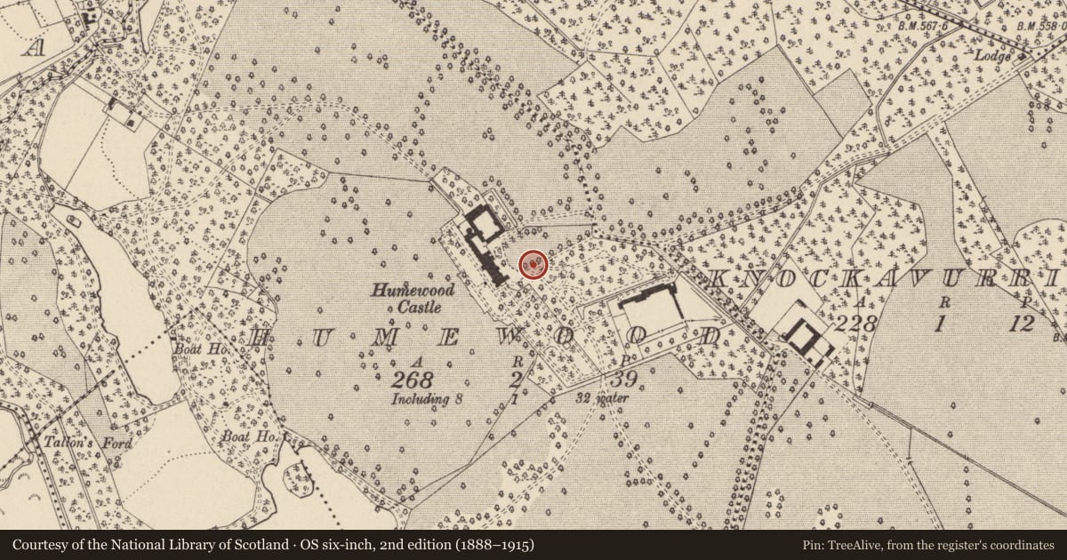 Ordnance Survey six-inch map, 2nd edition (1888–1915) covering the location of Rock art (present location), Humewood, County Wicklow, with a pin at the register's coordinates