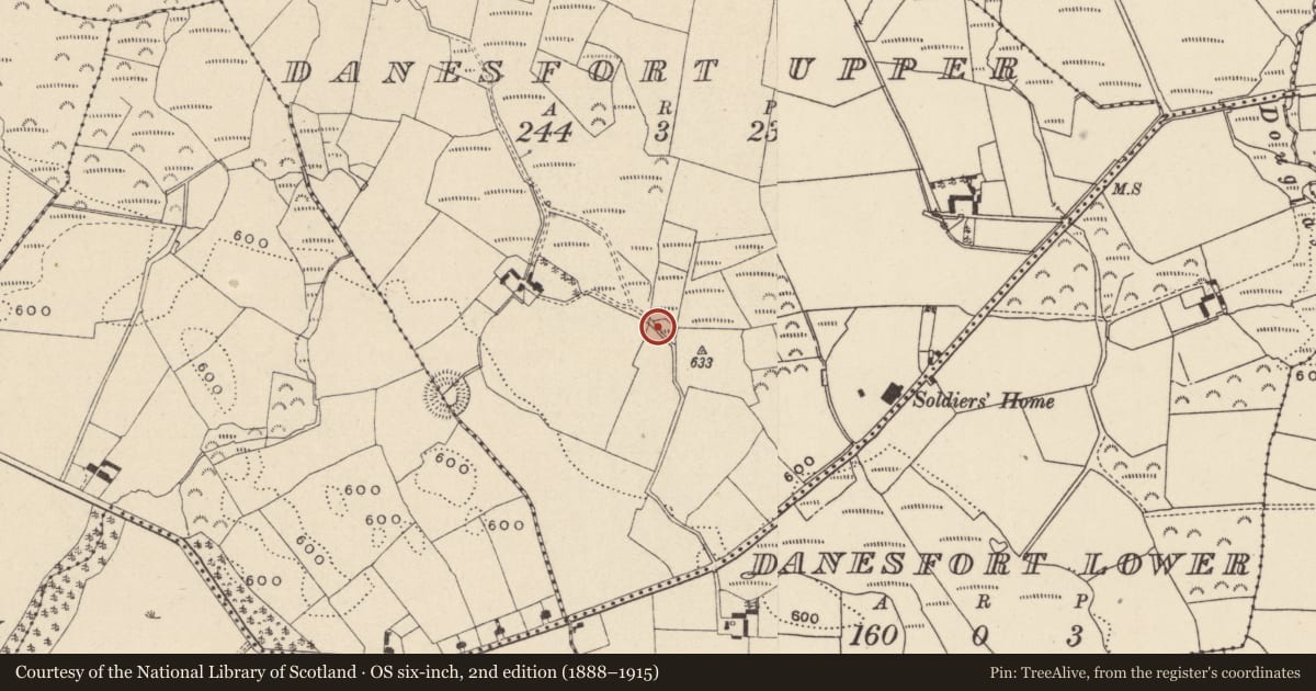 Ordnance Survey six-inch map, 2nd edition (1888–1915) covering the location of Enclosure, Danesfort Upper, County Wicklow, with a pin at the register's coordinates