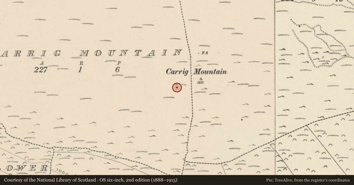 Ordnance Survey six-inch map, 2nd edition (1888–1915) covering the location of Cairn - unclassified, Carrig Mountain, County Wicklow, with a pin at the register's coordinates