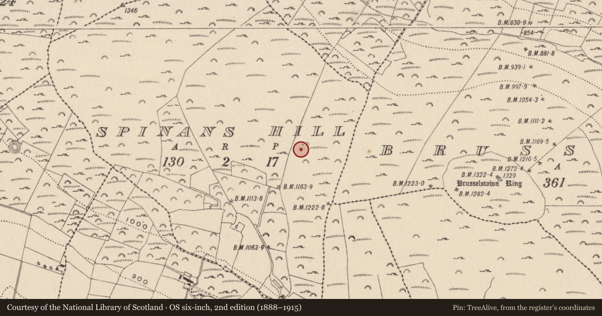 Ordnance Survey six-inch map, 2nd edition (1888–1915) covering the location of Hillfort, County Wicklow, with a pin at the register's coordinates