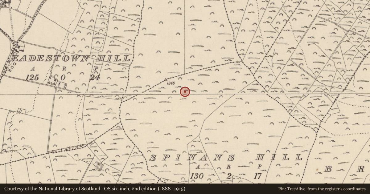 Ordnance Survey six-inch map, 2nd edition (1888–1915) covering the location of Hillfort, Spinans Hill, Ballyhubbock Upper, County Wicklow, with a pin at the register's coordinates