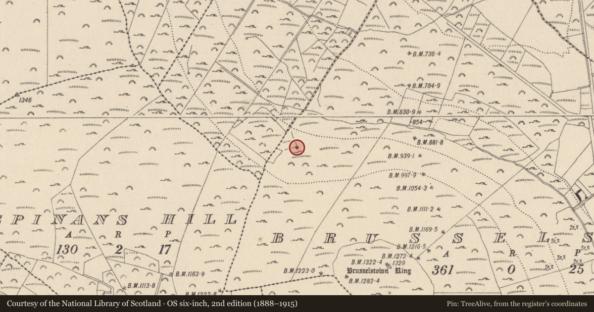 Ordnance Survey six-inch map, 2nd edition (1888–1915) covering the location of Settlement cluster, Brusselstown, Coolamaddra, County Wicklow, with a pin at the register's coordinates
