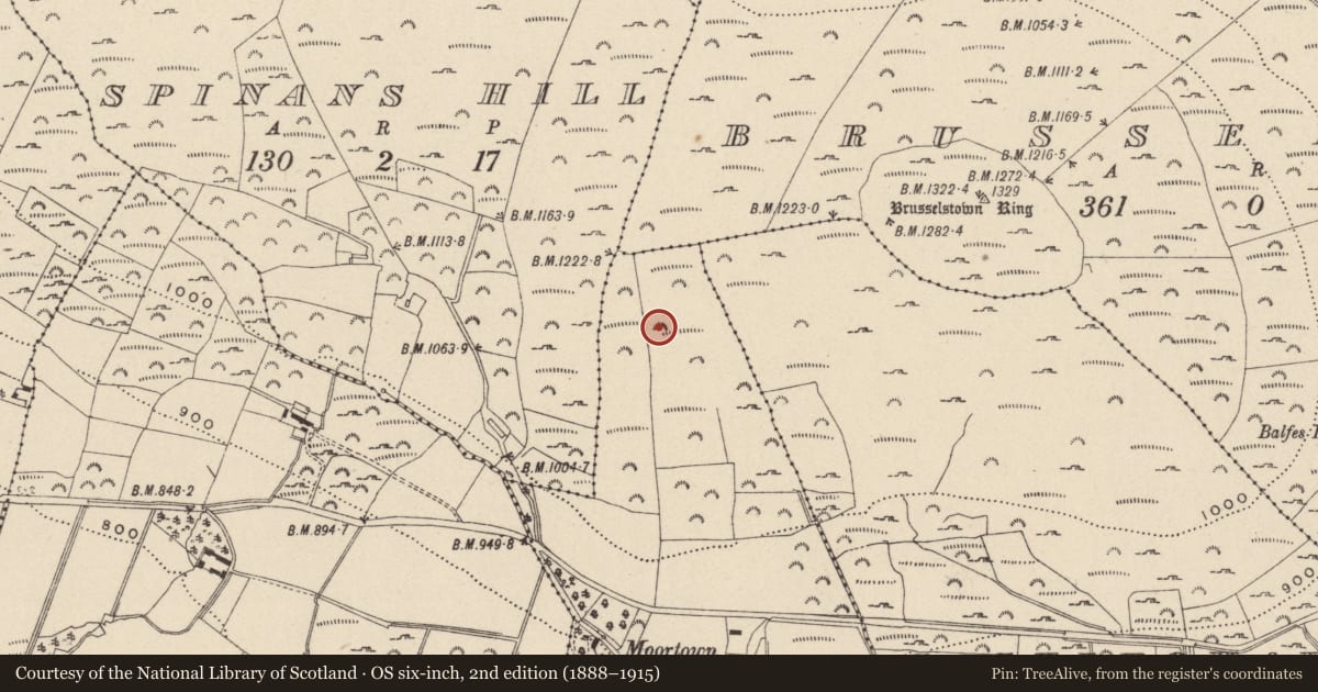 Ordnance Survey six-inch map, 2nd edition (1888–1915) covering the location of Enclosure, Moorstown, County Wicklow, with a pin at the register's coordinates