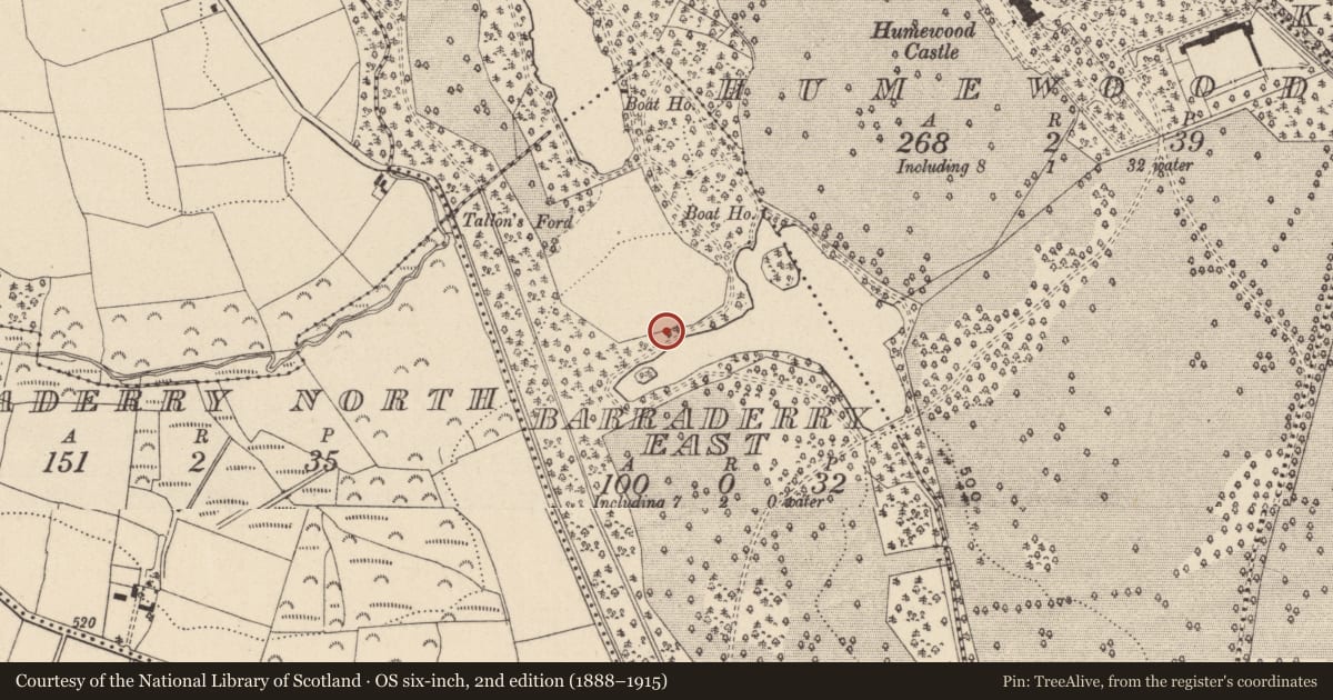 Ordnance Survey six-inch map, 2nd edition (1888–1915) covering the location of Rock art, Barraderry East, County Wicklow, with a pin at the register's coordinates
