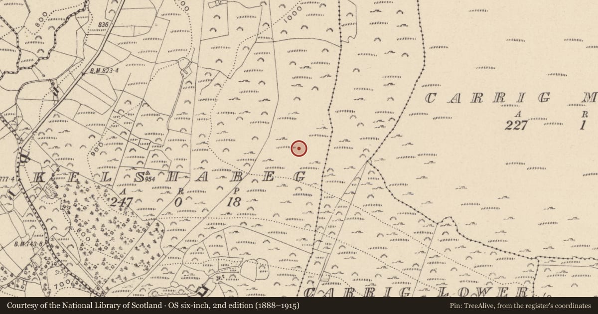 Ordnance Survey six-inch map, 2nd edition (1888–1915) covering the location of Hut site, Kelshabeg, County Wicklow, with a pin at the register's coordinates