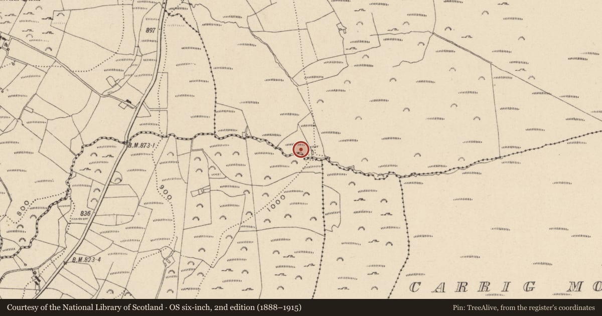 Ordnance Survey six-inch map, 2nd edition (1888–1915) covering the location of Standing stone, Keadeen, County Wicklow, with a pin at the register's coordinates